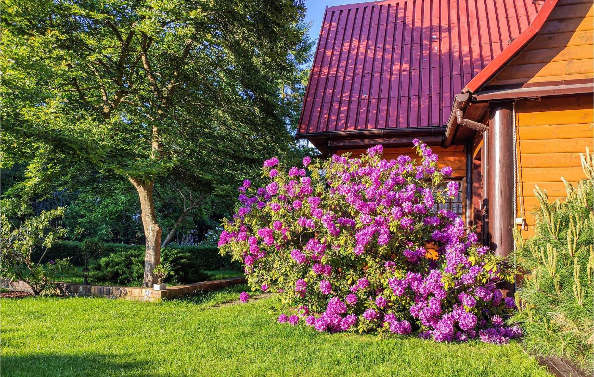 3 Bedroom Lovely Home In Nowe Warpno Exterior foto